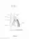 Fig. 23 - Toe orthosis