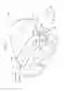 Fig. 02 - Underwater mask