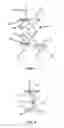 Fig. 03 - Elevating manual wheelchair
