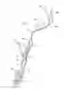 Fig. 05 - Wrap around walking aid