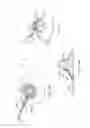 Fig. 06 - Breastfeeding apparatus system