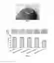 Fig. 02 - Methods of using microneedle vaccine formulations to elicit in animals protective immunity against rabies virus