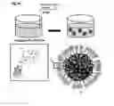 Fig. 09 - Method for preparing protein cage, and in situ method for preparing hydrophobic additive-supported core-shell structured polymer-protein particles