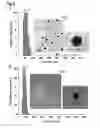 Fig. 13 - Method for preparing protein cage, and in situ method for preparing hydrophobic additive-supported core-shell structured polymer-protein particles