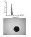 Fig. 26 - Method for preparing protein cage, and in situ method for preparing hydrophobic additive-supported core-shell structured polymer-protein particles