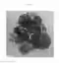 Fig. 03 - Lignin microcapsule and method of producing the same