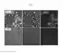 Fig. 04 - Lignin microcapsule and method of producing the same