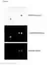 Fig. 02 - PHARMACEUTICAL COMPOSITIONS COMPRISING VESICLES