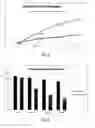 Fig. 04 - Composition for topical application comprising glycerol and tannins