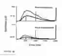 Fig. 04 - Autoimmune-induced glutamatergic receptor dysfunction methods and treatments