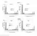 Fig. 07 - Lipid scavenging in Ras cancers