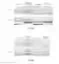 Fig. 09 - COMPOSITION AND METHOD FOR TREATING AND RELIEVING MYOPIA