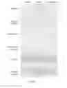 Fig. 14 - COMPOSITION AND METHOD FOR TREATING AND RELIEVING MYOPIA