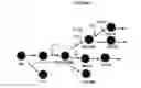 Fig. 02 - Phorbol ester compositions and methods of use for treating or reducing the duration of cytopenia