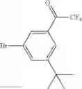 Fig. 166 - Thiazoles as modulators of RORγt