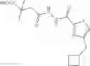 Fig. 95 - Thiazoles as modulators of RORγt
