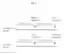 Fig. 09 - PHARMACEUTICAL COMPOSITION CONTAINING CLIOQUINOL FOR TREATING AUTISM SPECTRUM DISORDERS