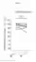 Fig. 13 - PHARMACEUTICAL COMPOSITION CONTAINING CLIOQUINOL FOR TREATING AUTISM SPECTRUM DISORDERS