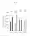 Fig. 59 - PHARMACEUTICAL COMPOSITION CONTAINING CLIOQUINOL FOR TREATING AUTISM SPECTRUM DISORDERS
