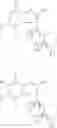 Fig. 13 - SLC2A TRANSPORTER INHIBITORS