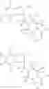 Fig. 191 - SLC2A TRANSPORTER INHIBITORS