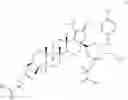 Fig. 170 - DERIVATIVES OF BETULIN