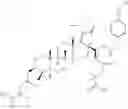 Fig. 173 - DERIVATIVES OF BETULIN