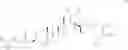 Fig. 307 - DERIVATIVES OF BETULIN