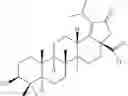 Fig. 712 - DERIVATIVES OF BETULIN