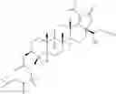 Fig. 746 - DERIVATIVES OF BETULIN