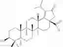 Fig. 760 - DERIVATIVES OF BETULIN
