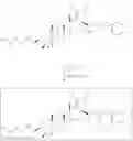 Fig. 764 - DERIVATIVES OF BETULIN