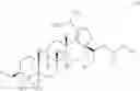 Fig. 791 - DERIVATIVES OF BETULIN