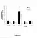 Fig. 08 - Bile acid-basic amino acid conjugates and uses thereof