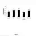 Fig. 10 - Bile acid-basic amino acid conjugates and uses thereof