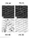 Fig. 06 - Anti-infective hydroxy-phenyl-benzoates and methods of use