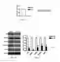 Fig. 03 - Compositions and methods for treating or preventing metabolic syndrome disorders