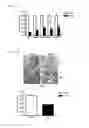 Fig. 12 - Compositions and methods for treating or preventing metabolic syndrome disorders