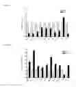 Fig. 19 - Compositions and methods for treating or preventing metabolic syndrome disorders
