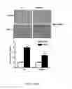 Fig. 23 - Compositions and methods for treating or preventing metabolic syndrome disorders