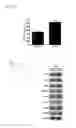 Fig. 26 - Compositions and methods for treating or preventing metabolic syndrome disorders
