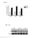 Fig. 27 - Compositions and methods for treating or preventing metabolic syndrome disorders