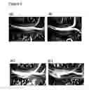 Fig. 06 - COMPOSITIONS FOR USE IN CARTILAGE BREAKDOWN