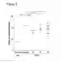 Fig. 07 - COMPOSITIONS FOR USE IN CARTILAGE BREAKDOWN
