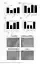 Fig. 02 - Application of mesenchymal stem cells in prophylaxis or treatment of stress response-induced weakened immunity