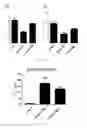 Fig. 03 - Application of mesenchymal stem cells in prophylaxis or treatment of stress response-induced weakened immunity