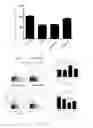 Fig. 08 - Application of mesenchymal stem cells in prophylaxis or treatment of stress response-induced weakened immunity