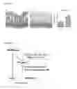 Fig. 06 - METHODS FOR MANIPULATING IMMUNE RESPONSES BY ALTERING MICROBIOTA