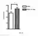 Fig. 02 - COMPOSITIONS AND METHODS COMPRISING BACTERIA FOR IMPROVING BEHAVIOR IN NEURODEVELOPMENTAL DISORDERS