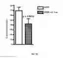 Fig. 03 - COMPOSITIONS AND METHODS COMPRISING BACTERIA FOR IMPROVING BEHAVIOR IN NEURODEVELOPMENTAL DISORDERS